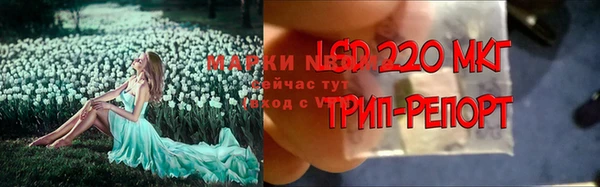 скорость Абаза
