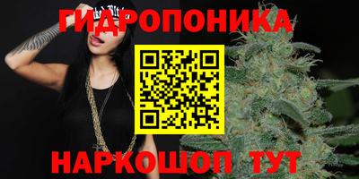 apvp Изобильный