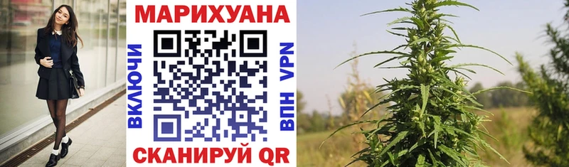 дарнет шоп  Мурино  Каннабис Amnesia 